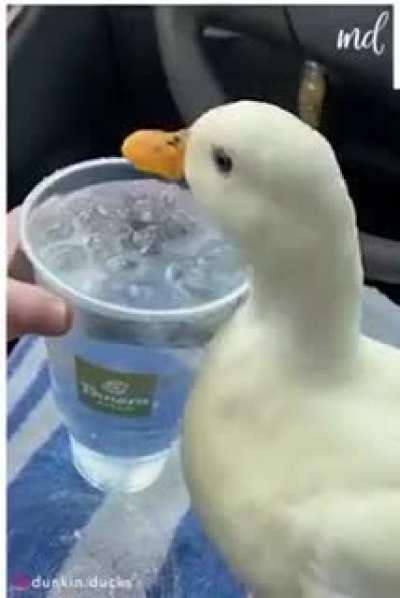 munchkin even take the lid off