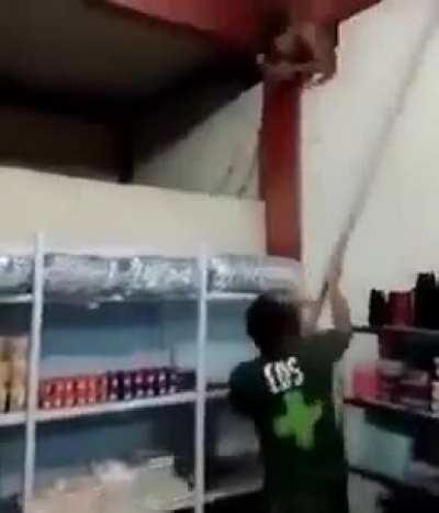 Imagine waking up at 3am and having a piñata inside your house.