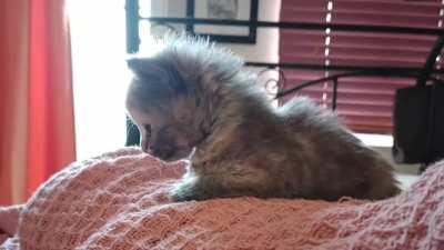 Hardened criminal casing the joint.