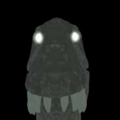 this is all i have to offer