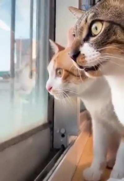 Very interesting conversation 😀