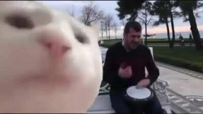 Турецкий як цуп цоп. Дайте фул