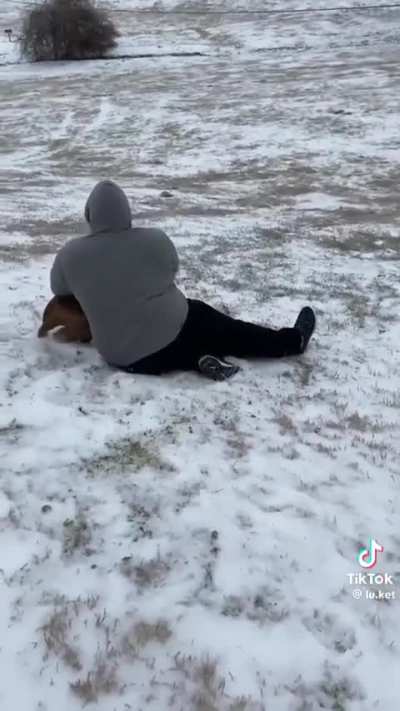 Dogs doing what they do best and ruining everyone’s day