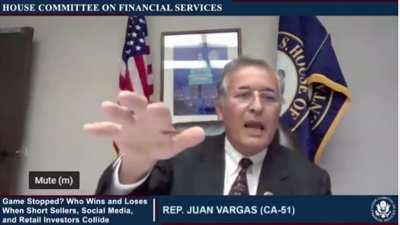 The following statement was made in line TV, under oath, during the Financial Services Committee congressional hearing regarding the GameStop events of January. Feb 18th, 2021