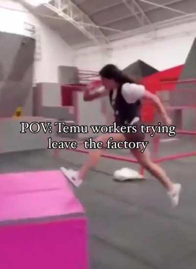 Temu makes invisible walls, but are they as durible? 