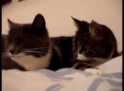 important conversation