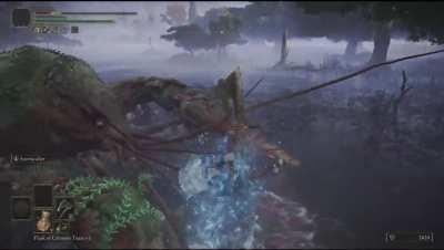 The fuck is this shit.