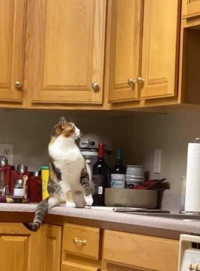 high five!....or not