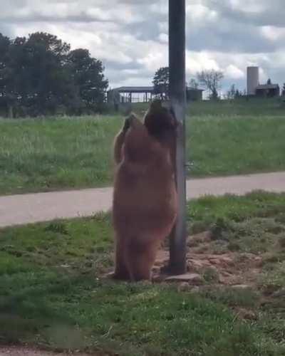 Normal good morning street performance