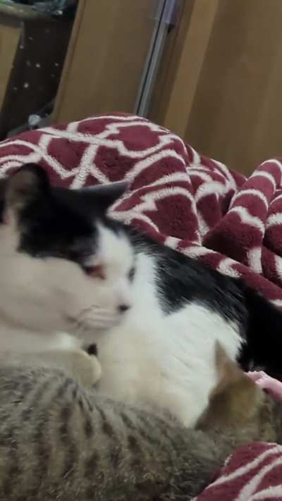 A short break of the usual jackassery