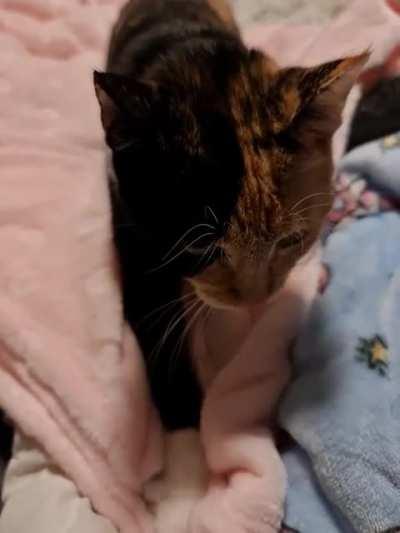 Stelmaria making biscuits on her new blanket
