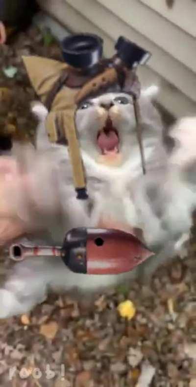 (OC) when your palico has to fight a monster 30 times its size again