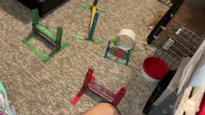 My amazing pet rat Feta is learning her first agility course!