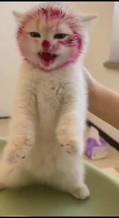 How to turn into a dragon