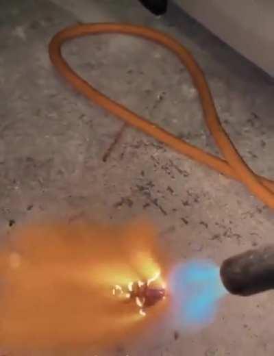 Salamander forces clash with Tyranid Bioforms upon a forge world of the mechanicus (circa M.41)