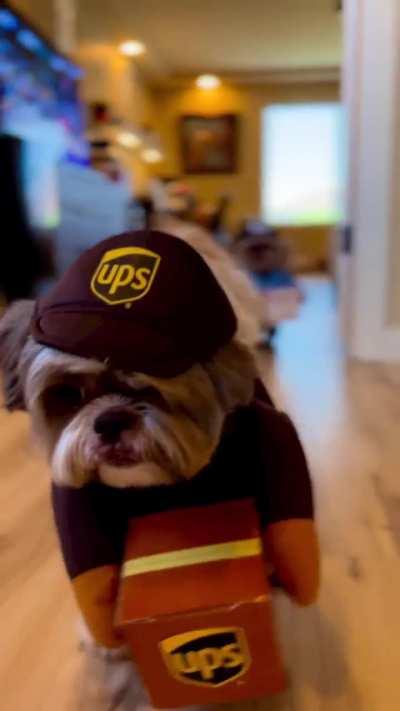 Whoever invented this deserves the Nobel Peace Prize.