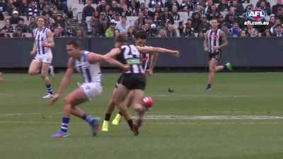 Football Player Bounces the Ball on a Pigeon During the Game