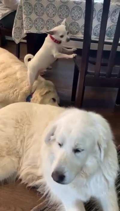 Giving a friend a step up