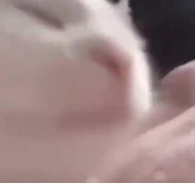 Me experiencing Yorick’s ult music