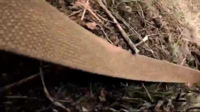 Brutal POV extraction of wounded Ukrainian solider. All three end up WIA / Location Unknown / Date Recent