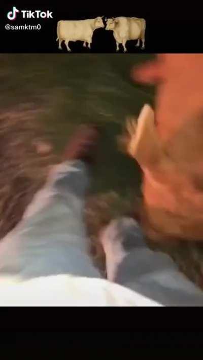 Ah, not the best thing in the world