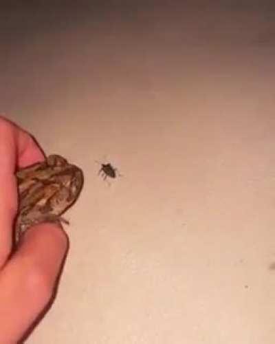 Thanks, I love vacuum frogs