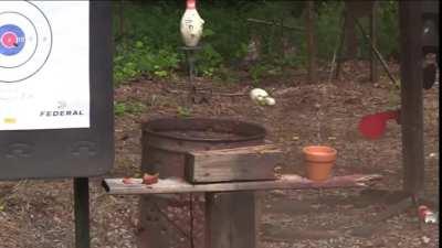 Is it even America if you don't swat the wasps with the Mag