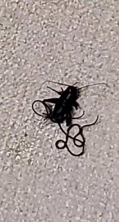 I felt a crunch under my shoe and looked down.