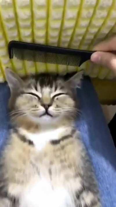 Aligning the bits on C@