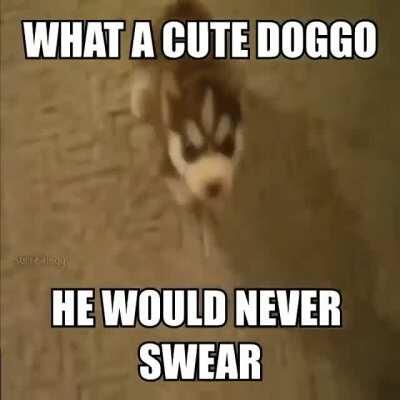 no this is not real, no this is not real, no this is not real, no this is not real, no this is not real, no this is not real, no this is not real, no this is not real, no this is not real, no this is not real, no this is not real, no this is not real, no 