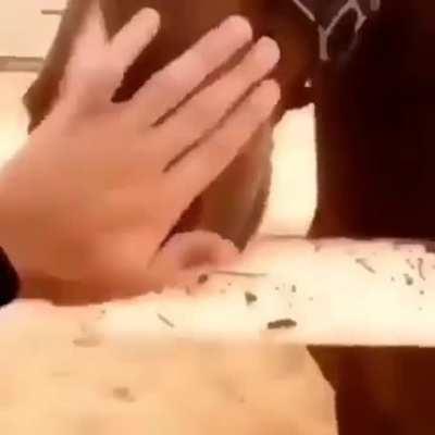 cavalo espirrando fodase