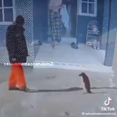 Idk what did I just saved