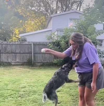 He clearly went for the bigger one