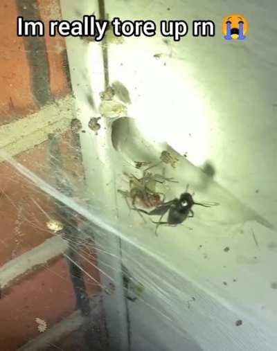 god always takes his strongest soldiers first ☹️