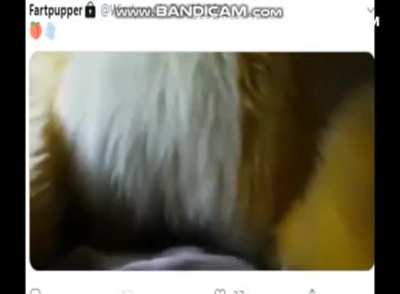 Guys I found cringe. Please watch all of it.