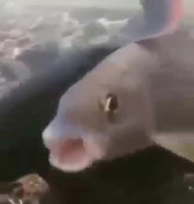 AAAAAAAAAAAAAAAAAAAAAA