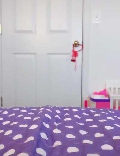 Jack you like dogs right?