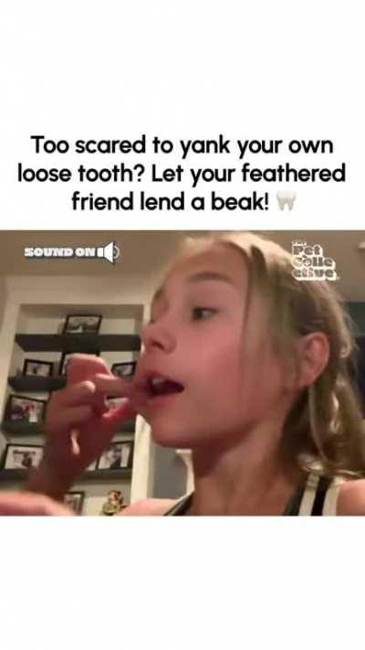 no need for a dentist