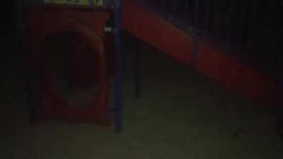 Mano que susto 😱😱