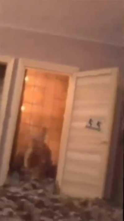 Man destroyed his toilet with drink