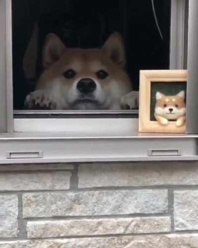 As in the picture...