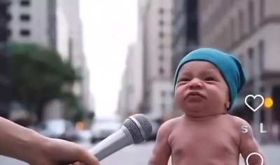 who did this, This is HILARIOUS 🤣