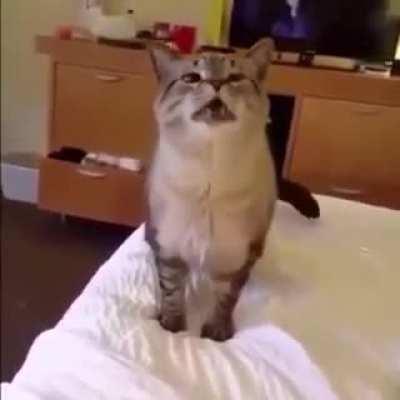 a aa aaa aaaa aaaa atchim