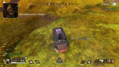 Newcastle can fly ~200M onto a teammate's banner