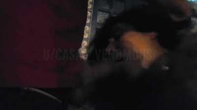 Harder is the only way to fuck this slutwife!