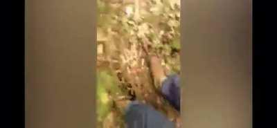 Farmer catches goat thief