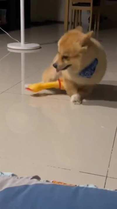 intER-SPECies SexUal ASSAuLT CAptuReD oN vIDeO! graphiC!