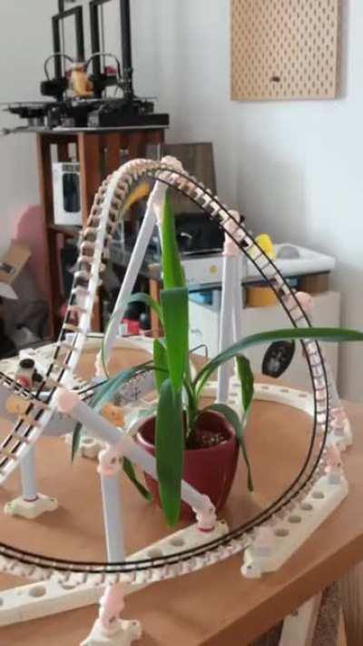 Mini Rollercoaster