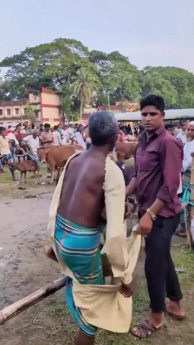 Something something Brazilian GP