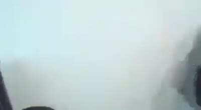 pvz fans when they see a wallnut in golden armour